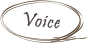 voice_icon